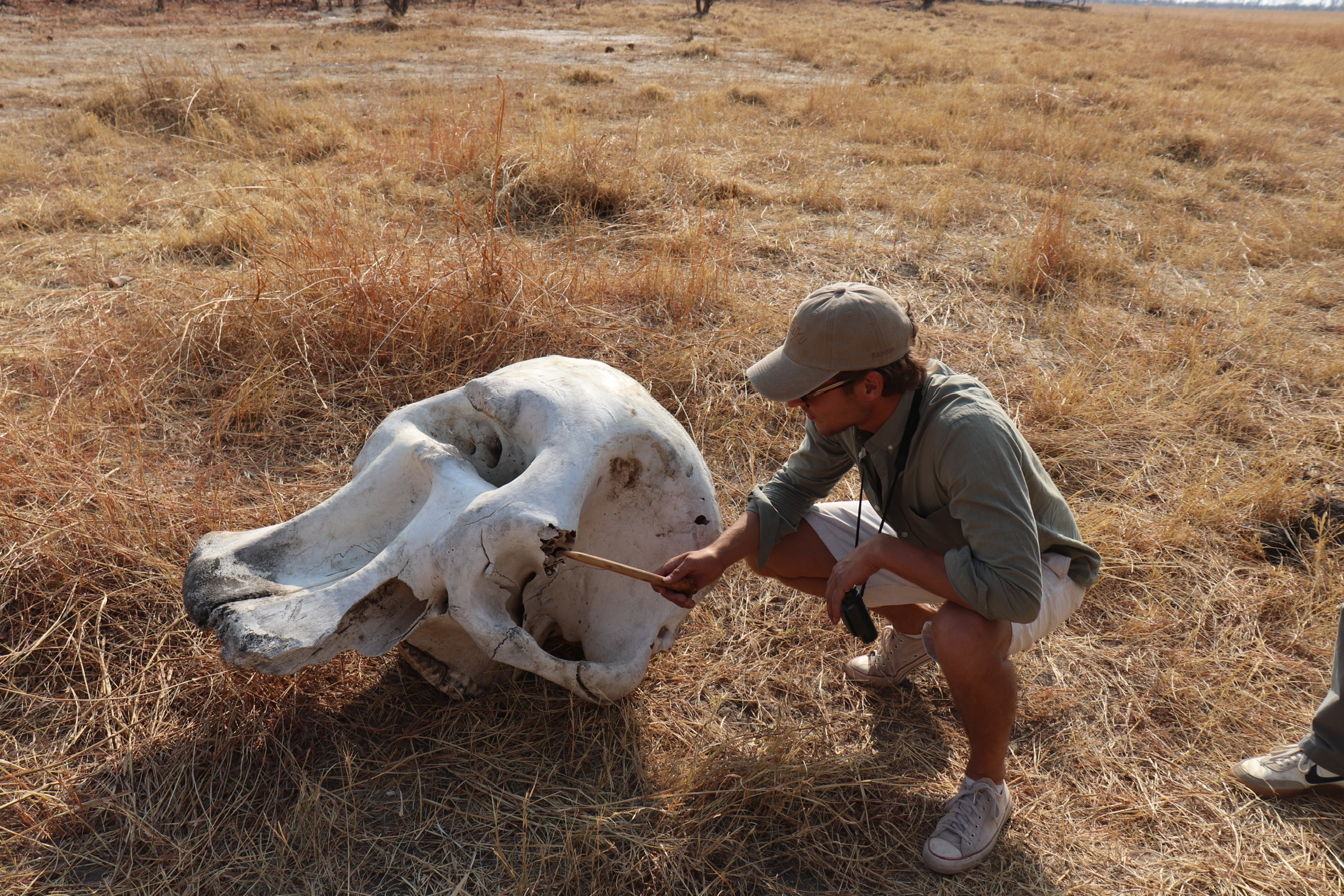 Guide with guests at camp placeholder
